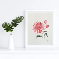 Image 1 of The Peony- original watercolour 