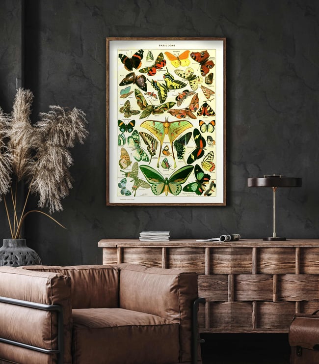 Papillons | Adolphe Millot | Retro Botanical Print | Vintage Poster | Wall art Print