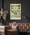 Papillons B | Adolphe Millot | Retro Botanical Print | Vintage Poster | Wall art Print