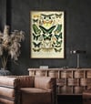  Papillons C | Adolphe Millot | Retro Botanical Print | Vintage Poster | Wall art Print