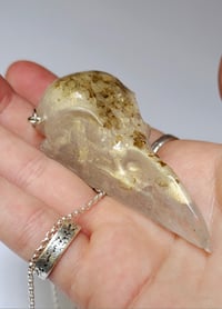 Image 5 of Raven Skull