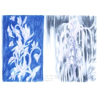 Image 1 of Winter Plant Parade Sketches (ORIGINAL)