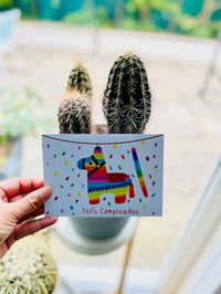 Image 3 of Mexican Piñata Feliz Cumpleaños Card