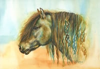 Celtic Horse - Highland