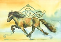 Celtic Horse - Icelandic