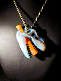 Image 5 of Mirage (CFL) T-Rex skull pendant with serendipity joint tip.