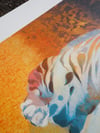 A2 Tiger in The Bear Rainforest  Screenprint