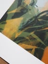 A3 Kettle's Yard (Sunflower Variation) Screenprint