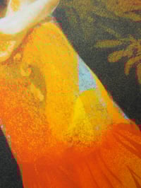 Image 3 of A2 Self Portrait in The Bear Rainforest Screenprint