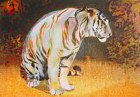 Image 2 of A5 Tiger in The Bear Rainforest Risograph Print