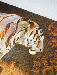 Image 3 of A5 Tiger in The Bear Rainforest Risograph Print