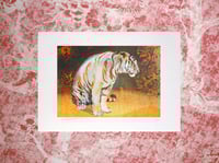 Image 1 of A5 Tiger in The Bear Rainforest Risograph Print