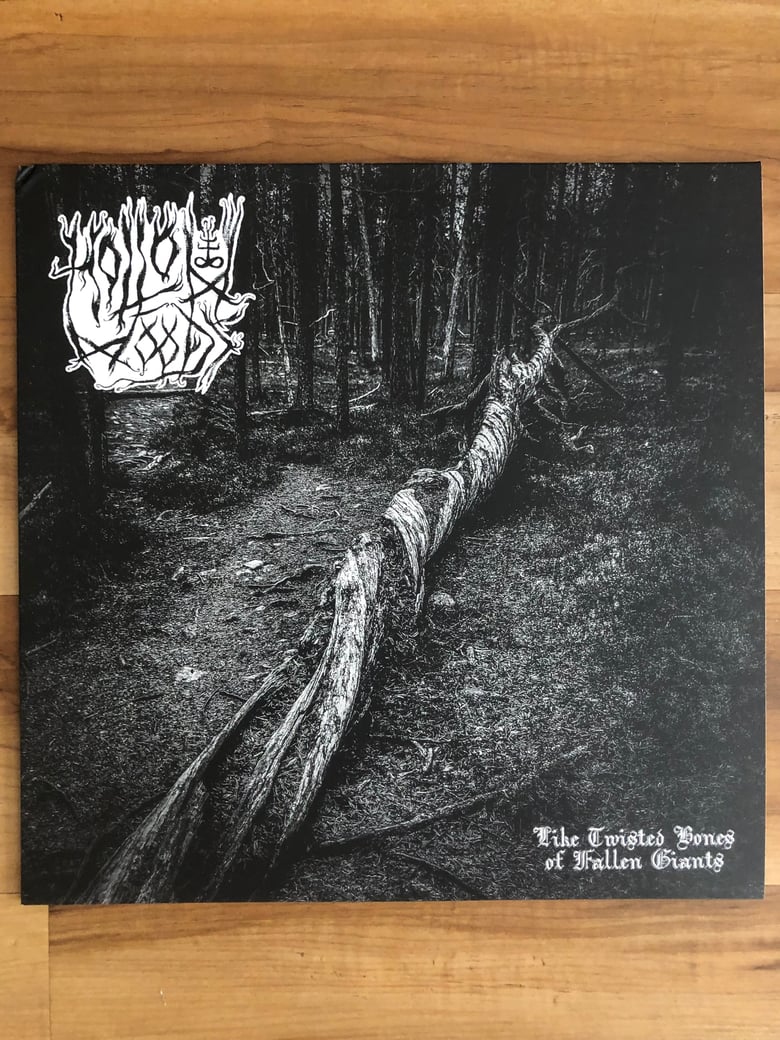Image of Hollow Woods - Like Twisted Bones of Fallen Giants LP