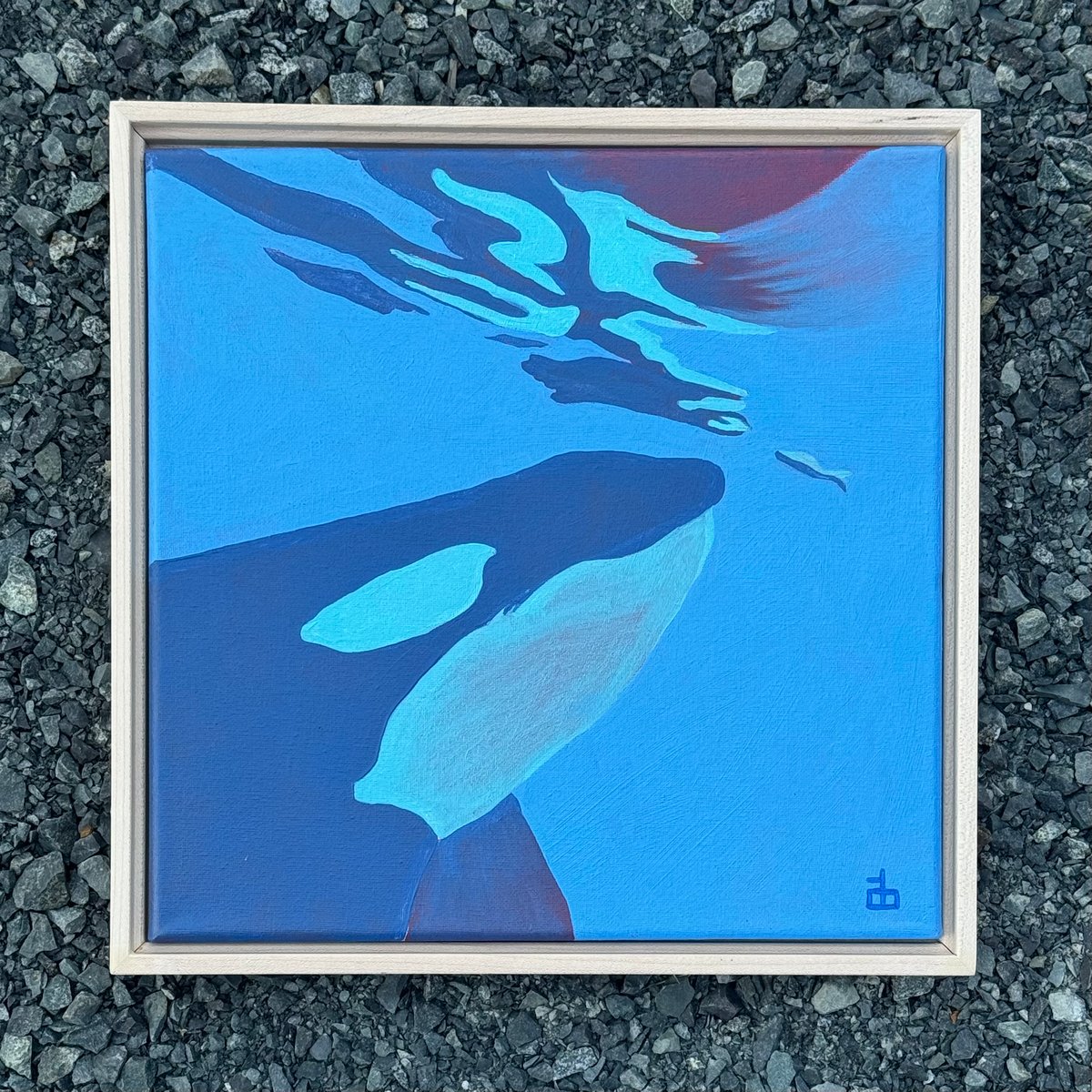Image of Orca #2