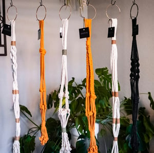 Image of Modern Plant Swing