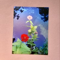 Image 1 of Holographic Flowers Sticker