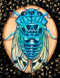 Blue Cicada