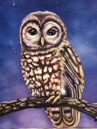 Image 1 of Night Owl