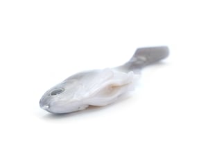 Image of Citizen 6 (SLUMLORD) 2pk.