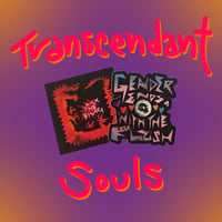 Transcendant Souls Duo