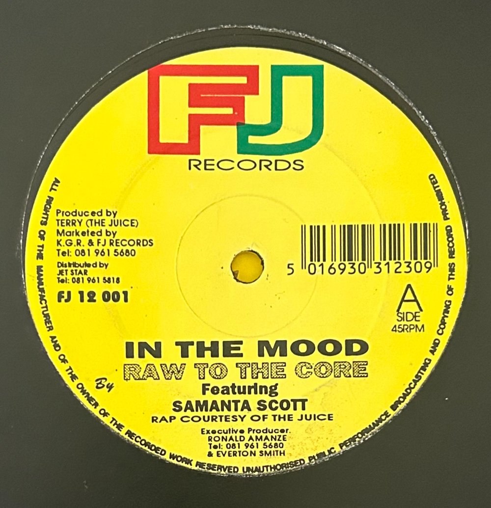 RAW TO THE CORE - IN THE MOOD (FJ RECORDS) 12"