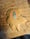 Image of Small Wood Sprite