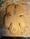 Image of Large Wood Sprite
