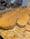 Image of Large Wood Sprite