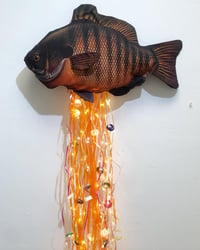 Image 1 of The Effects of Plastic Pollution on Fish