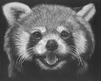 Image 1 of “Joyful Firefox” print  (archival matte)