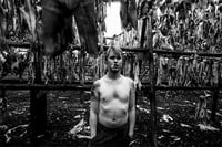 Image 3 of Sébastien Van Malleghem - Nordic Noir