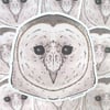 Barn Owl Sticker