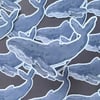 Whale Sticker