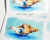 Image 3 of A5 - Maison coquillage