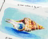 Image 4 of A5 - Maison coquillage