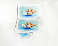Image 2 of A5 - Maison coquillage