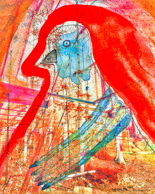 Compilation of Common Experience