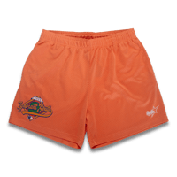 Image 1 of Spring Training Mesh Shorts - Peach