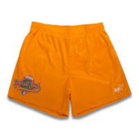 Image 1 of Spring Training Mesh Shorts - Gold