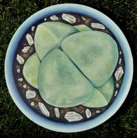 Lithops 