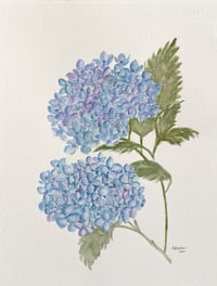 Image 2 of Hydrangea in Blue- original artwork 