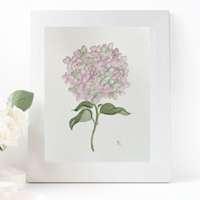 Image 1 of Antique Hydrangea- original artwork 