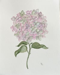 Image 3 of Antique Hydrangea- original artwork 