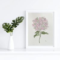 Image 4 of Antique Hydrangea- original artwork 