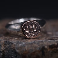 Image 1 of Item 11: Mixed Metal Rose Gold Rivulet Signet Size 7