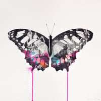 Image 1 of Graffiti Butterfly (Pink & White)