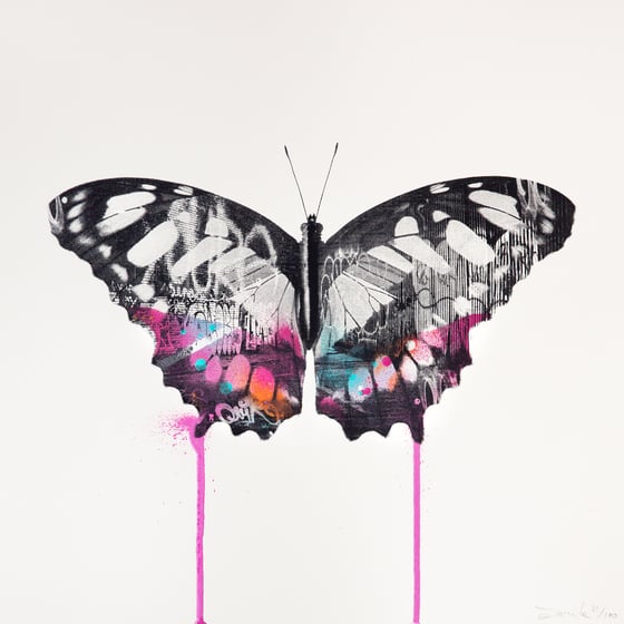 Image of Graffiti Butterfly (Pink & White)