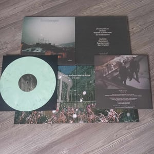 Image of HAUNTOLOGIST - Hollow LP (marble vinyl + 16-page booklet)
