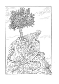 Dragon Tree II