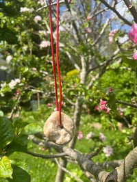 Image 3 of Hag Stone Necklace